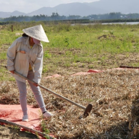 Trà Đậu Rang Mộc
